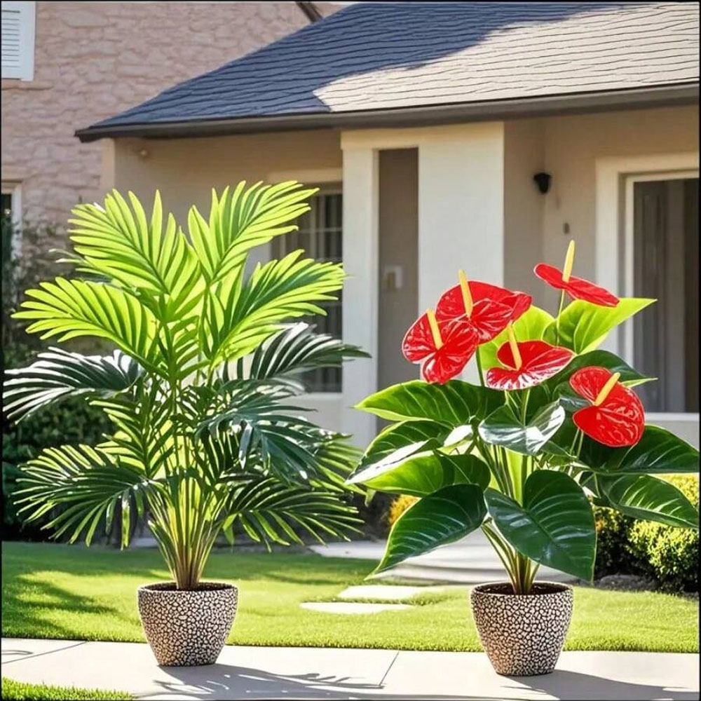 Home Office Layout - 2 conjuntos de grandes plantas de