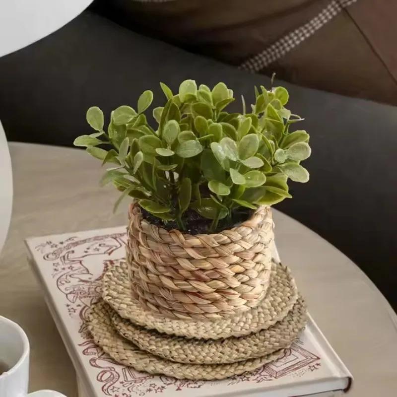 1pc vaso de plantas pequenas p - Home Office Layout avaliação e preço