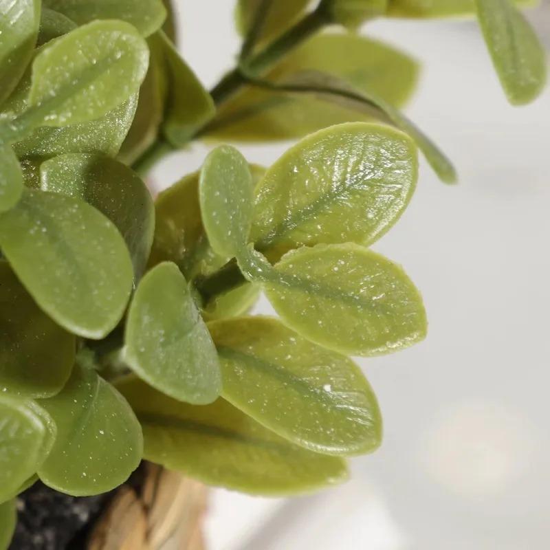1pc vaso de plantas pequenas p - Home Office Layout avaliação e preço