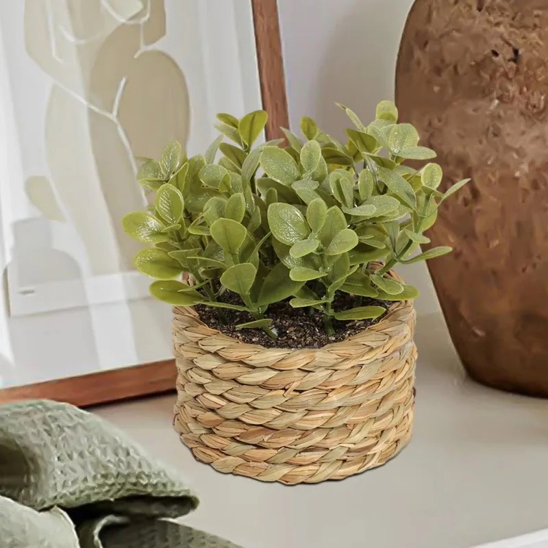 1 unidade de pequenas plantas  - Home Office Layout avaliação e preço