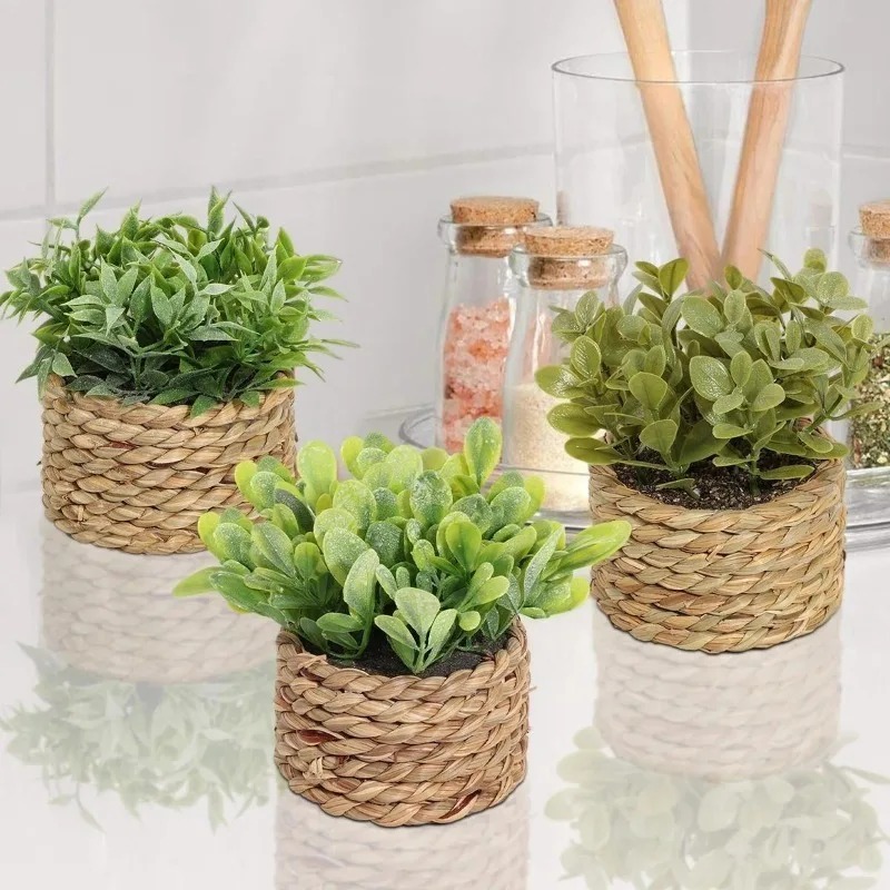 1 unidade de pequenas plantas  - Home Office Layout avaliação e preço