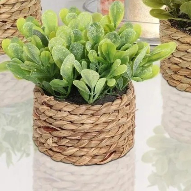 1 unidade de pequenas plantas  - Home Office Layout avaliação e preço