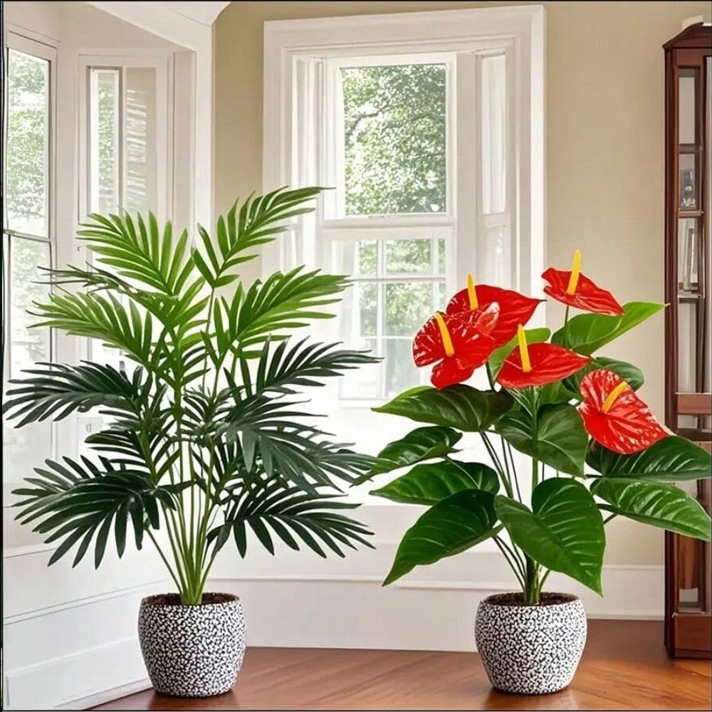 2 conjuntos de grandes plantas - Home Office Layout avaliação e preço