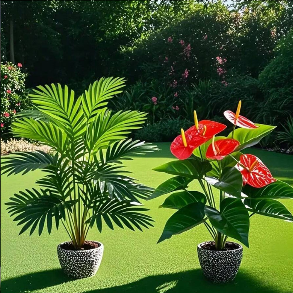 2 conjuntos de grandes plantas - Home Office Layout avaliação e preço